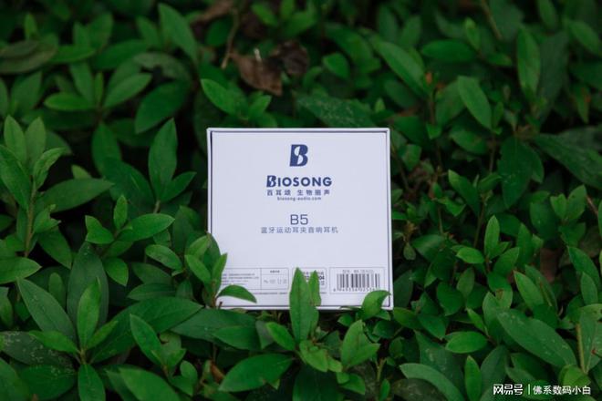 618好物推荐—双飞燕Biosong百耳颂耳夹式蓝牙耳机