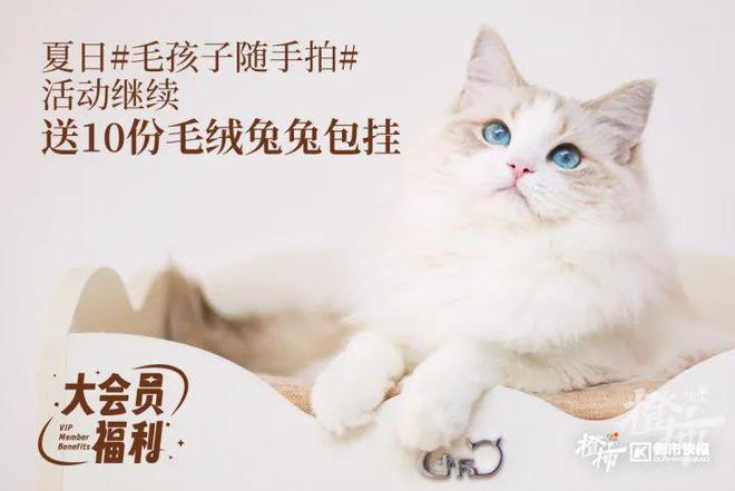 易倍体育网站：摩雷蓝牙音响、麦当劳大“薯”日限量版周边、漫画展门票橙柿福利上新不停歇！(图13)