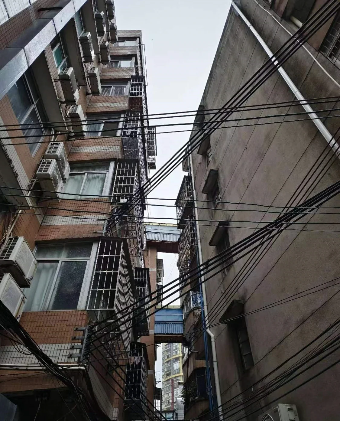 Emc易倍体育：运营商力推VoWiFi“用WiFi打语音电话”是伪需求吗？(图2)