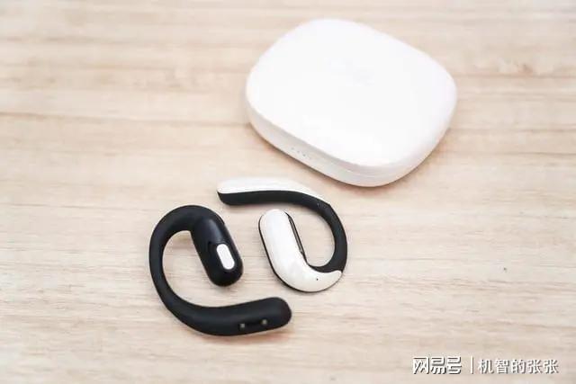 易倍体育网站：不入耳的耳机是什么原理？不入耳的开放式蓝牙耳机哪个品牌好用(图4)