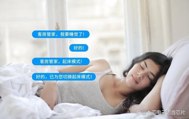 客房智能管家语音识别芯片功能概述