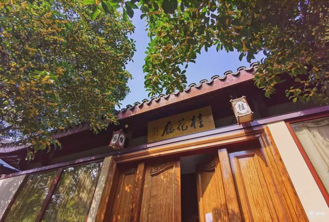 跌向16℃！大降水！强冷空气长假杀到浙江又有新台风或生成(图2)