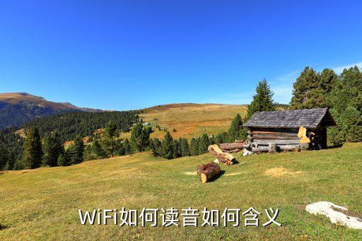 易倍体育网站：wifi口语怎么读mother怎么读(图2)