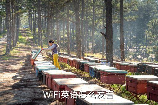 易倍体育网站：wifi口语怎么读mother怎么读(图3)