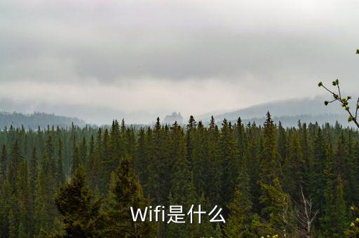 什么是wifiWifi是什么