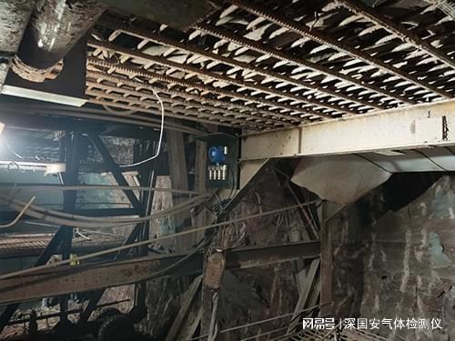 氰化氢报警器-深国安百科(图6)