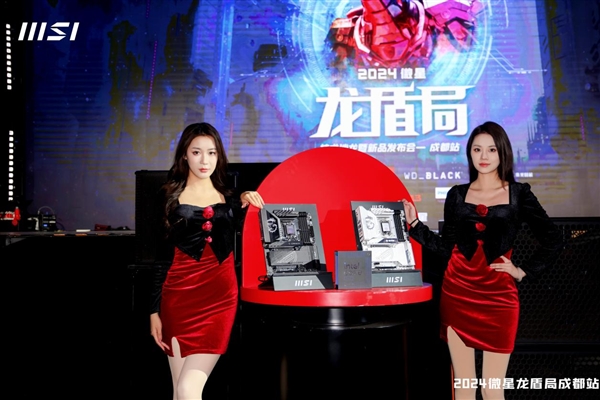 微星龙盾局成都站燃情收官2024年度盛宴圆满落幕(图11)