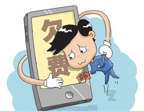 Emc易倍体育：零碳联盟网站停网事件：欠费风波引发外界关注