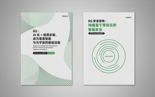 2024年手机ZDC报告：销量重回增长航道AI手机方兴未艾(图24)