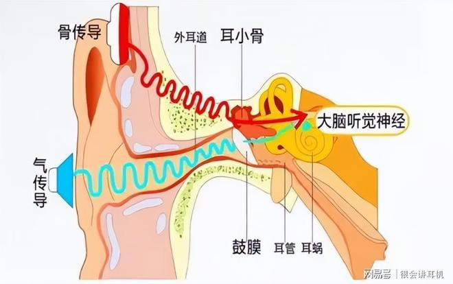 开放式蓝牙耳机到底是什么？2025年平价好用的开放式耳机推荐(图3)