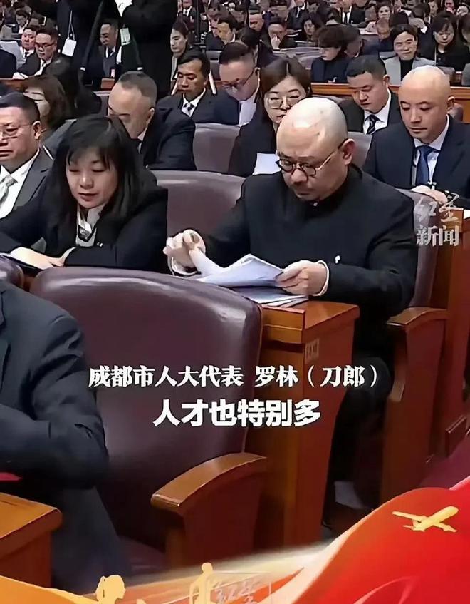 脸面！刀郎演唱会圆满收官人民日报为其点赞整洁中山装上两会(图5)