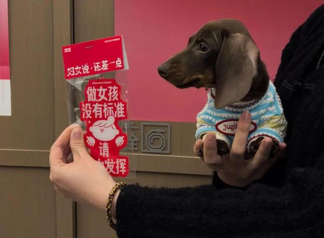 易倍体育网站：祝福妇女不如真的改变妇女处境。(图11)