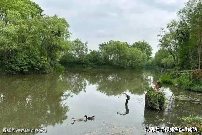 易倍体育网站：2025鑫湾甲邸-售楼处网站-百度百科-鑫湾甲邸-上海房天下(图3)