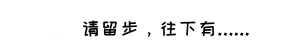 蓝牙的名字由来是怎样的？为什么不叫它“白牙”？(图11)