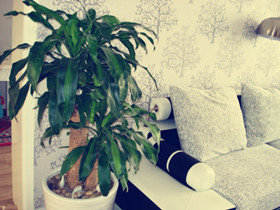 蓝牙是什么蓝牙手机是什么功能