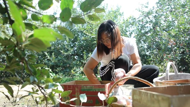 红果果甜进心窝窝！辛集人都爱吃→