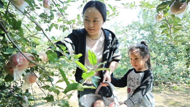 红果果甜进心窝窝！辛集人都爱吃→(图4)