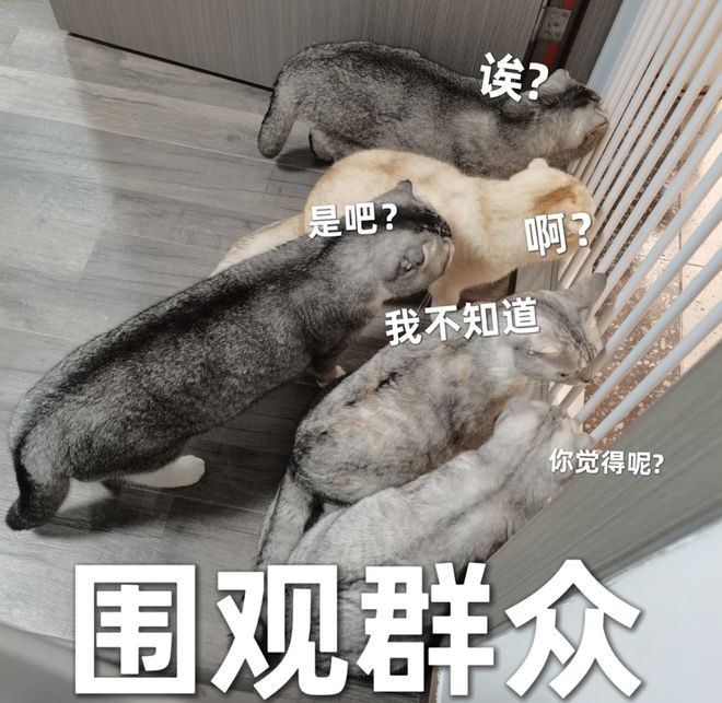 Emc易倍体育：大学生在自习室靠WiFi热点名交流网友：看到