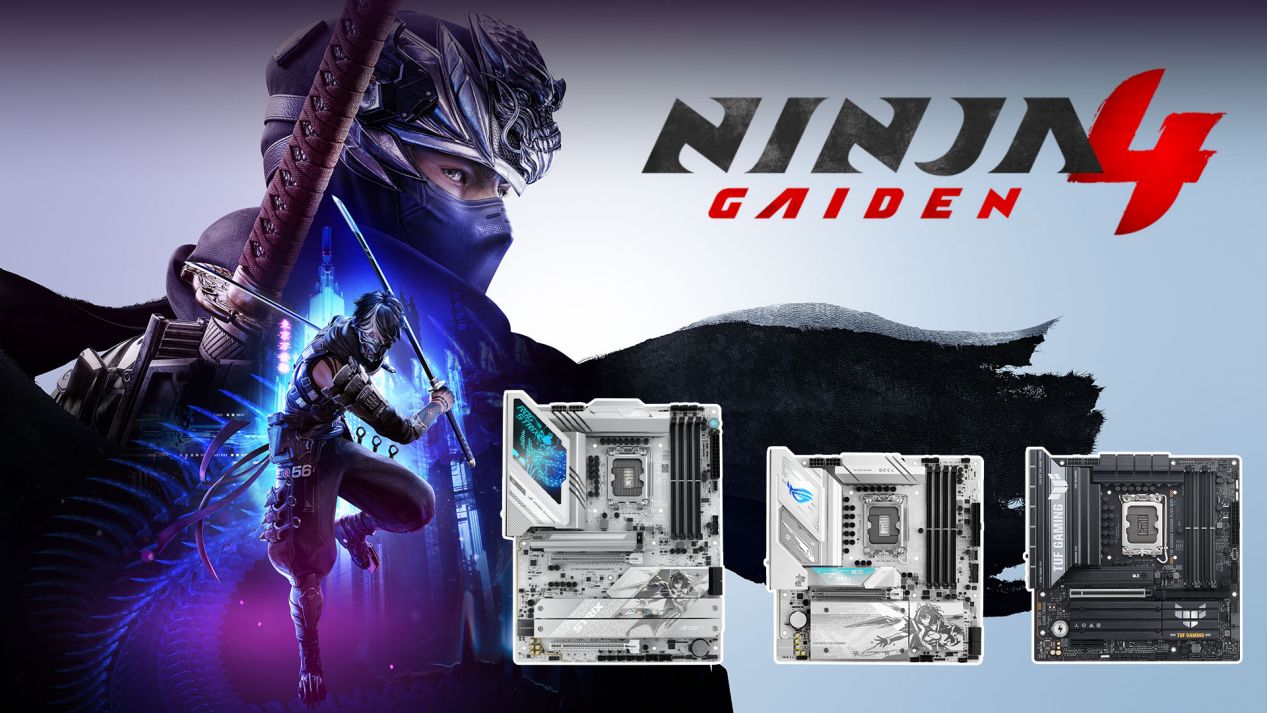 Emc易倍体育：华硕Z890B860主板双11特惠为你开启《