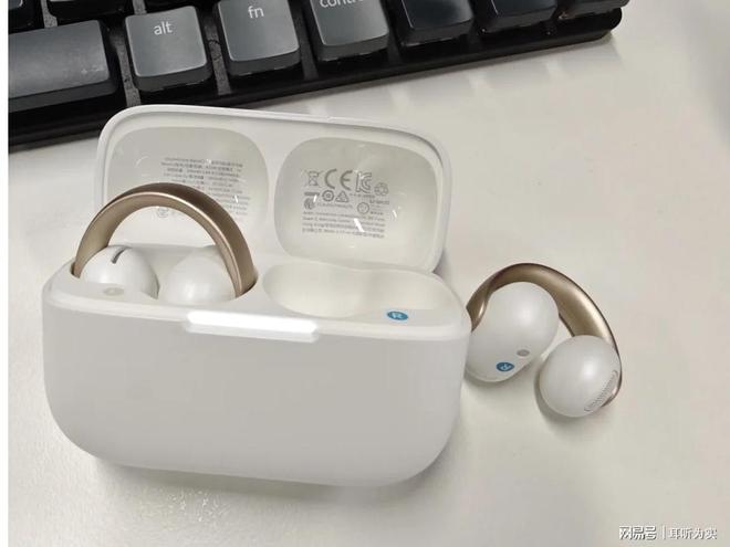开放式耳机哪款音质好？2025耳挂式蓝牙耳机推荐高性价比(图11)