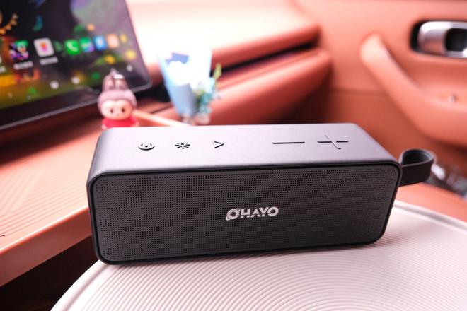 雷登S11蓝牙音箱:声光随行户外桌搭皆宜的千元级音质小钢炮!(图3)