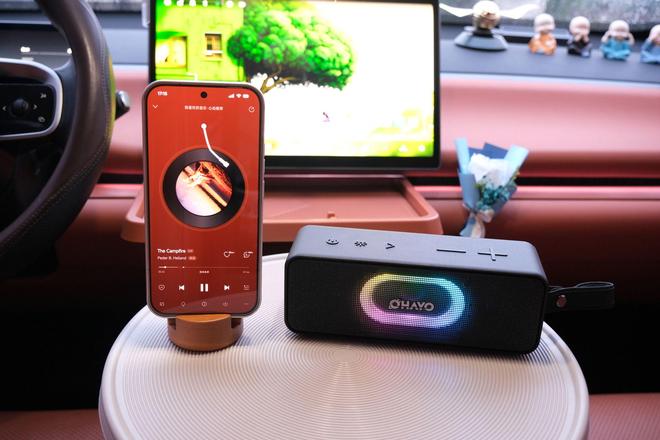 雷登S11蓝牙音箱:声光随行户外桌搭皆宜的千元级音质小钢炮!(图9)