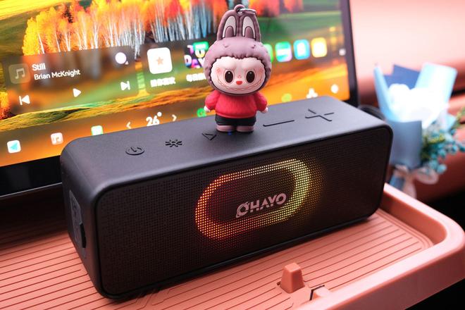 雷登S11蓝牙音箱:声光随行户外桌搭皆宜的千元级音质小钢炮!(图12)