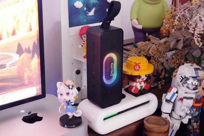 雷登S11蓝牙音箱:声光随行户外桌搭皆宜的千元级音质小钢炮!(图13)