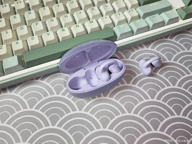耳夹式蓝牙耳机哪个牌子好用又便宜?十款口碑最好耳夹式耳机推荐(图10)