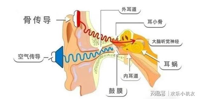 耳夹式蓝牙耳机哪个牌子好用又便宜?十款口碑最好耳夹式耳机推荐(图23)
