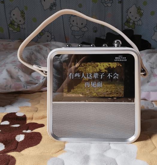 K歌音响品牌排行榜：2025家庭KTV必选品牌前十名(图7)