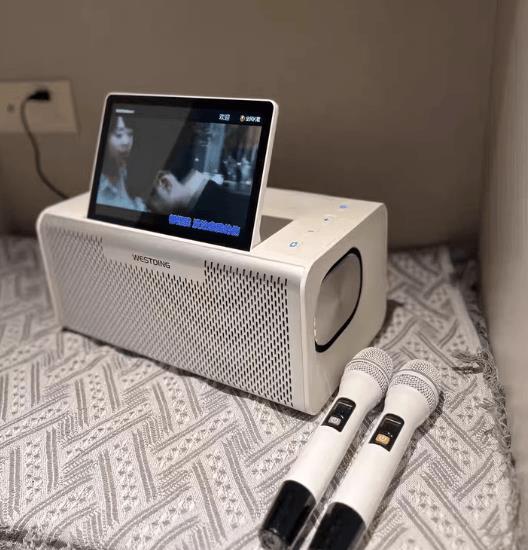 K歌音响品牌排行榜：2025家庭KTV必选品牌前十名(图3)