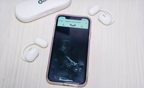 易倍体育网站：质量好的蓝牙耳机品牌有哪些？2025最值得买的蓝牙耳机推荐！(图7)