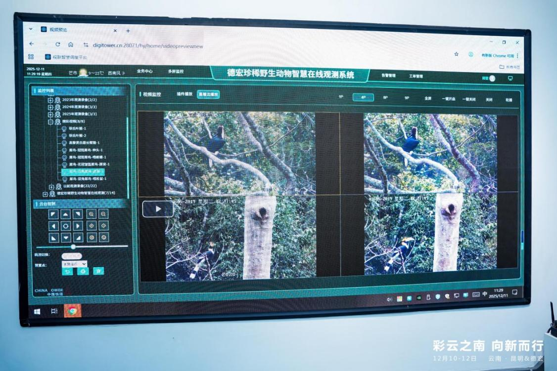 易倍体育网站:彩云之南向新而行数智技术绘就边疆发展新图景(图5)