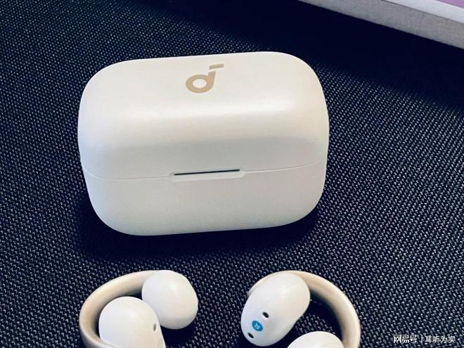 开放式耳机哪款音质好？十款音质不错的耳夹式蓝牙耳机推荐(图11)
