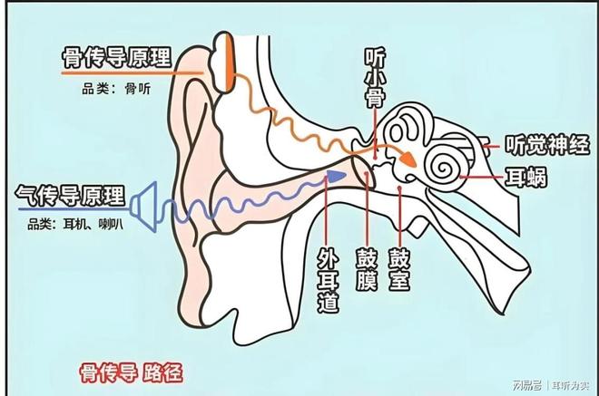 开放式耳机跟入耳式哪个好?最值得入手的耳夹式蓝牙耳机推荐(图4)