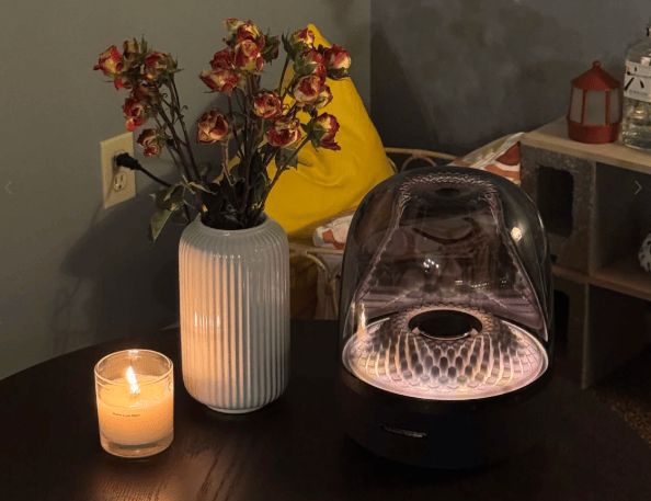 蓝牙音箱哪款最好?2026年网评十大公认音质好的蓝牙音箱品牌(图6)