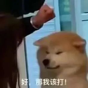 Emc易倍体育：轻松一刻：这才是改装车的最高境界吧！(图4)