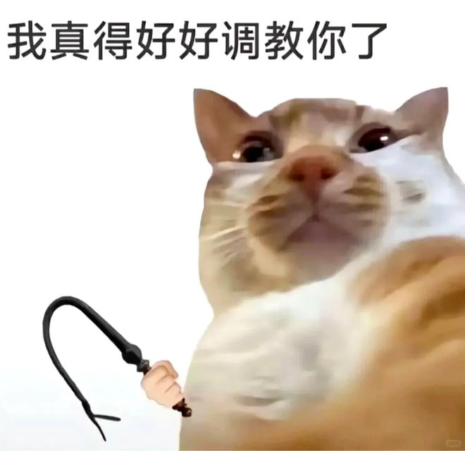 Emc易倍体育：轻松一刻：这才是改装车的最高境界吧！(图6)