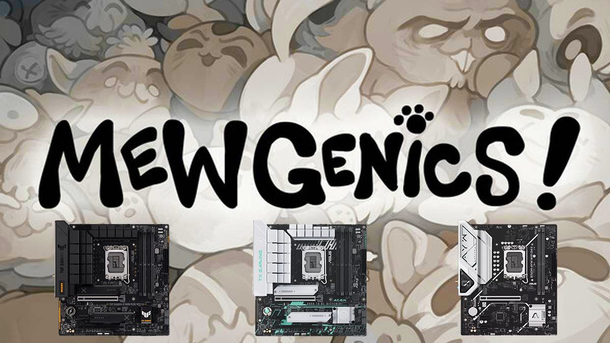 Emc易倍体育：登顶新游销量榜华硕B760D4主板畅玩《喵喵