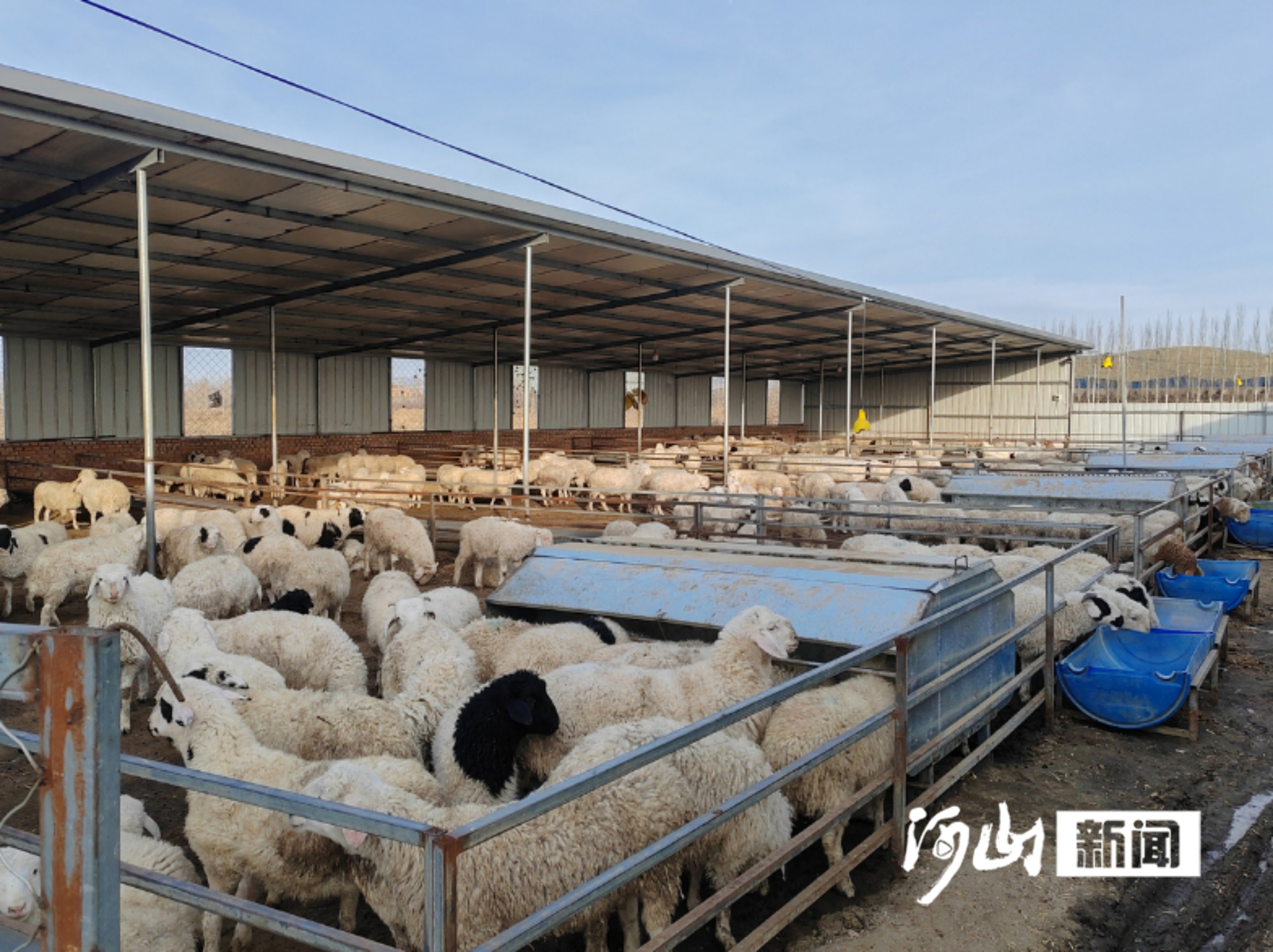 易倍体育网站：怀安培育三大产业集群汇聚高质量发展新动能(图7)