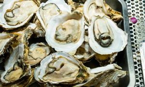 中研网行业资讯_中研普华行业研究网