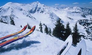 中研网行业资讯_中研普华行业研究网(图13)