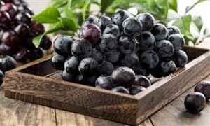 中研网行业资讯_中研普华行业研究网(图15)