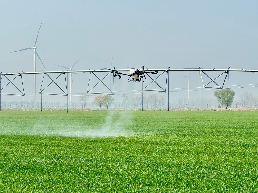 “豫”见数智可中！