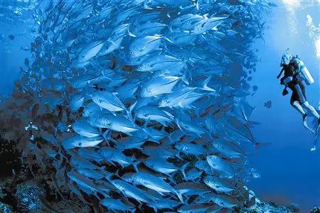 那些网友们发明的WiFi新用途看到最后感觉“很实用”！(图3)